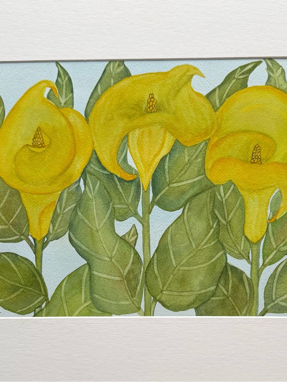 Painting Watercolor Flower Calla Lily Yellow Gold Green 11x14 & Mat 16x20 Art